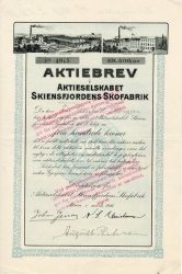 186_Skiensfjordens-Skofabrik_1916_500_nr1015