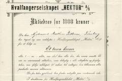 141_Hektor-Hvalfangerselskapet_1911_1000_nr679