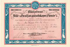 150_Pioner-Sild-og-Hvalfangstselskapet_1929_1000_nr300