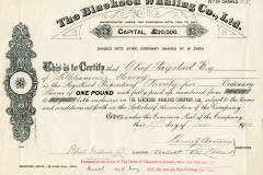 158_The-Blacksod-Whaling-Co._1910_1_nr63