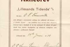 197_Lillesands-Tidende_1919_100_nr151