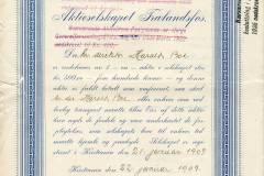 216_Traelandsfos_1909_500_nr12