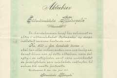 270_Metropolis-Skibsaktieselskabet_1915_500_nruten-nr