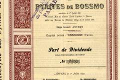 364_Pyrites-de-Bossmo_1897__nr2567