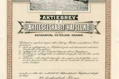 370_3-forskj.-Hafslund-1926-500-1000-og-1000kr_1926_50010002500_nrBlanketter