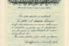 159_Capella-Hvalfangeraktieselskapet_1912_1000_nrBlankett