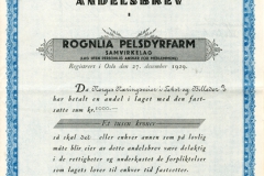 209_Rognlia-Pelsdyrfarm_1929_1000_nr73