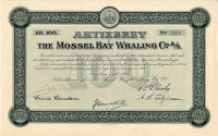 134_The-Mossel-Bay-Whaling-Co._1912_100_3524-